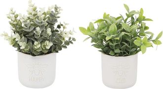 Flora Bunda Tea Leaf & Eucalyptus In Ceramic Pots