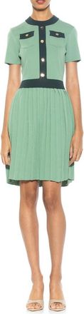 Alexia Admor Anders Short Sleeve Pleated Fit & Flare Dress in Sage at Nordstrom Rack, Size X-Large
