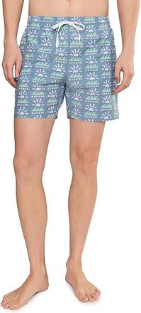 Chubbies The Easygoers 5.5 (Classic Lined Swim Trunks) Mens Swimwear Dusty Blue : 2XL, Polyester/Spandex