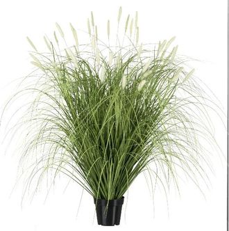 Gasper Kunstpflanze Pennisetum-Gras im Topf, Grün H: 115 cm