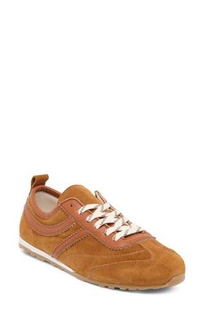 Dolce Vita Viper Sneaker in Cognac Suede at Nordstrom, Size 6.5