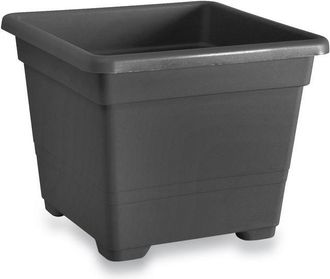OEM Florero Cuadrado 45 Cm - Laguna Terrestre