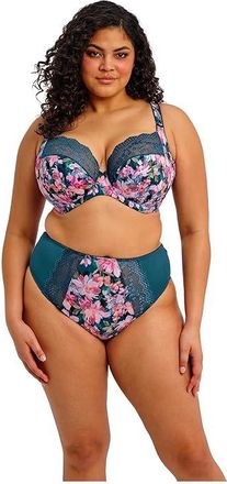 Elomi Lucie Underwire Plunge Bra Womens Bra Teal Floral : 40DD (US 40DD), Elastane/Lace/Polyamide