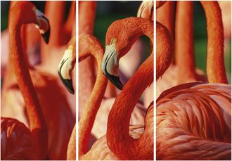 Schubiger M&ouml;bel Digitaldruck auf Acrylglas Flamingos