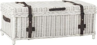 Safavieh Navarro Coffee Table Trunk