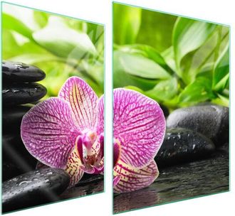 OEM Placa Protectora De Vidrio Para Estufa 70x52 Orqu&iacute;dea