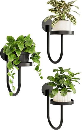 No Brand Soporte De Pared Para Plantas - Estante Colgante Para Plantas De Interior - Soporte Para Plantas De Alf&eacute;izar - Decoraci&oacute;n De Pared - Negro - Juego De 