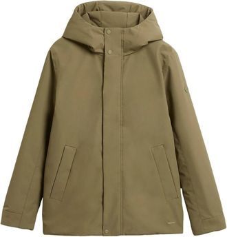 Elvine Barnard Winterjas - Heren - Zomerjassen - Groen - L - Leer - Jassen