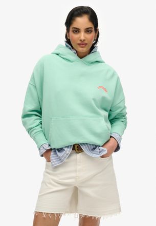 Superdry Kapuzensweatshirt SUPERDRY ESSENTIAL LOGO GD HOODIE, Damen, Gr. XS, silber (spearmint light gr&uuml;n), Sweatware, Obermaterial: 100% Baumwolle, bedruckt, 
