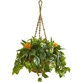 Nearly Natural 31-in Bromeliad & Pothos Artificial Plant in Hanging Basket in Green at Nordstrom