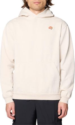 Mountain Hardwear Tricolor Logo Graphic Hoodie in Fossil at Nordstrom, Size Xx-Large