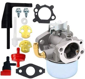 OEM Carburador 798653 - Adecuado Para Briggs & Stratton 696981 698860 694508 795069 698859 790180 790290