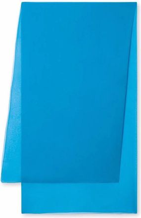 Alberta Ferretti Accessoires, Dames, Blauw, ONE Size, Lichtgewicht Zijden Sjaal