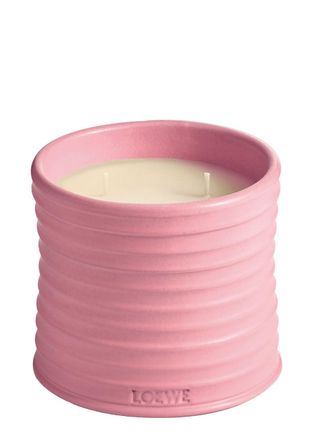 Loewe Ivy Candle - Medium 610g, Candle, Mid-intensity Fragrance, Woody Scent, Fresh, Verdant Aroma of the Leafy, Climbing Vine, Floral Notes, Medium