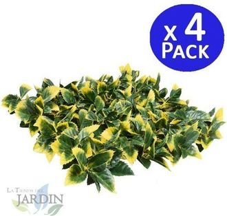 No Brand Set di 4 Giardino Verticale Alloro 50 x 50 cm. Creano Ambienti di Grande Originalit&agrave; e Freschezza