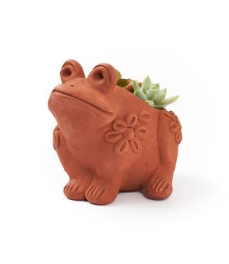 Matr Boomie Rakshana Frog Plant Pot - Terracotta at Nordstrom