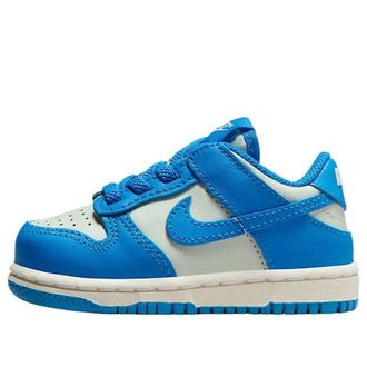 Nike (TD) Nike Dunk Low Light Silver Sail Light Photo Blue FB9107-004