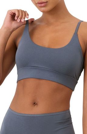 Pact Everyday Strappy Scoop Bralette Made With Organic Cotton in Light Steel Blue at Nordstrom, Size Xx-Large