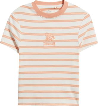 Rip Curl Stripe Embroidered Fitted T-Shirt in Papaya Stripe at Nordstrom, Size Xx-Small