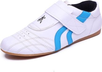 Generic Taekwondo Shoes, Breathable Martial Arts Sneakers, Sport Boxing Kung Fu Taichi Lightweight for Adults and Children(Blue,10.5 UK Child)