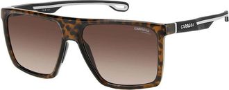Carrera 4019/S 0086 HA Havana/Brown Gradient