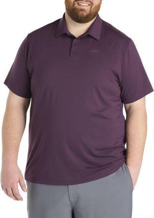 Travelon Big & Tall Heater Pro Polo in Plum at Nordstrom, Size Xx-Large
