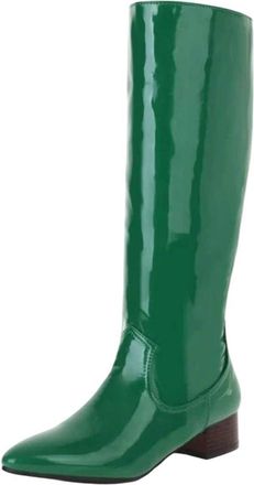 Generic Womens Knee High Boots Lady Pointed Toe Chunky Heels