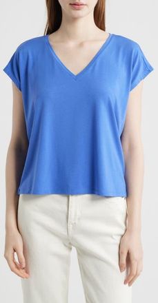 Eileen Fisher V-Neck Boxy T-Shirt in Blue Star at Nordstrom, Size Xx-Small