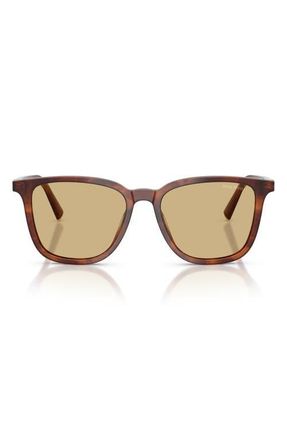 Miu Miu 53mm Square Sunglasses in Striped Tobacco /Yellow at Nordstrom