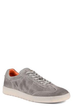 Roan Attitude Distressed Sneaker in Alkaline Suede at Nordstrom Rack, Size 8.5