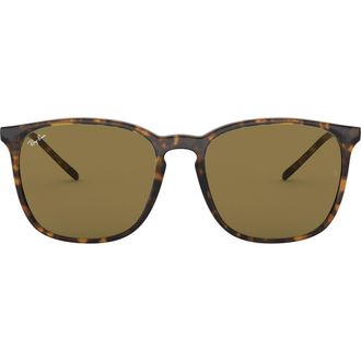 Ray-Ban 56mm Sunglasses in Havana Grad at Nordstrom