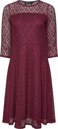 M&Co Petites Petite Berry Lace Skater Dress - Womens Purple