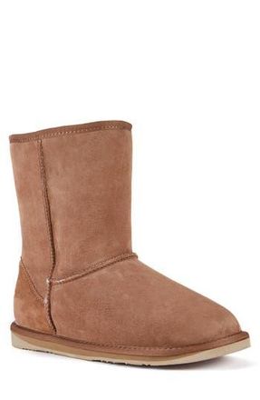Australia Luxe Suede Genuine Shearling Lined Cosy Short Boot in Chestnut at Nordstrom Rack, Size 10
