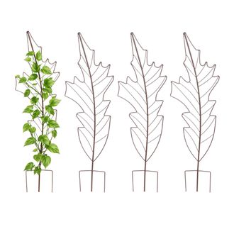 Relaxdays Relaxdays Celos&iacute;as En Forma De Hoja, Set 4, 100x30 Cm, Metal, Soporte Para Plantas Trepadoras, Jard&iacute;n Y Macetas Marr&oacute;n