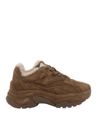 Ash Addict Sneakers