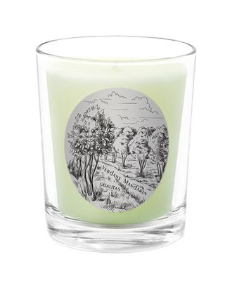 Qualitas Verdant Mandarin Scented Beeswax Candle