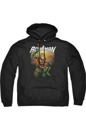 Gildan Justice League of America Beach Sunset Adult Pull Over Hoodie / Hooded Sweatshirt