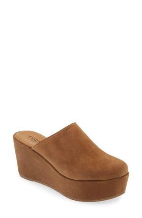 Cordani Jules Platform Mule in Clove Suede at Nordstrom, Size 10Us