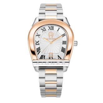 Aigner Siena Watch - Heren - Horloges - Grijs - ONE Size - Accessoires