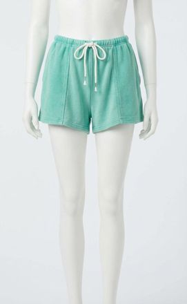 Z Supply Vintage Terry Short In Green Juice