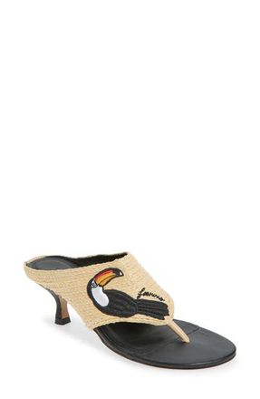 Farm Rio Icons Raffia Kitten Heel Slide Sandal in Tucan Black at Nordstrom, Size 6.5