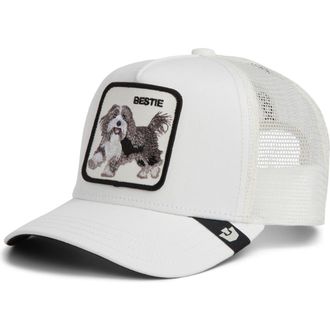 Goorin Brothers Bestie Patch Trucker Hat in Dust at Nordstrom