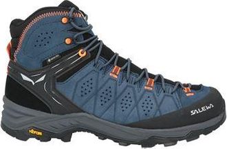 Salewa MS ALP TRAINER 2 MID GTX