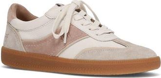 Frye Milly Low Top Sneaker in Ivory Rosa at Nordstrom, Size 8.5