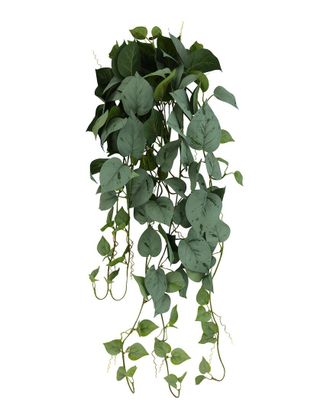 Creative Displays Inc. Frosted Green Ivy Stem With 36 Trail
