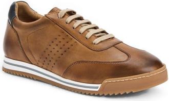 Bruno Magli Brozzi Low Top Leather Sneaker in Cognac Calf at Nordstrom, Size 11.5