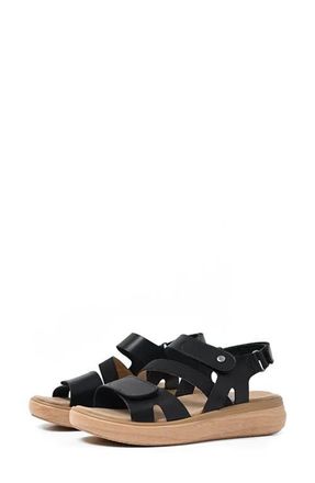 Wolky Amara Sandal in Black at Nordstrom, Size 5.5Us
