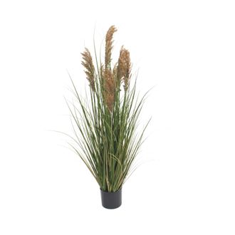 Mobili Rebecca Planta Artificial Hierba De La Pampa Cortaderia Rebecca Mobili Ravok 120x70x70 Cm Pvc Pe Metal Cemento, Verde Marr&oacute;n