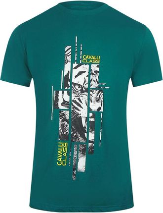 Roberto Cavalli Mens Cavalli Class Abstract Tiger Logo Green T-Shirt - Size: 42