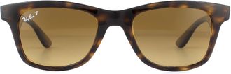 Ray-Ban Square Shiny Havana Brown Gradient Polarized Sunglasses